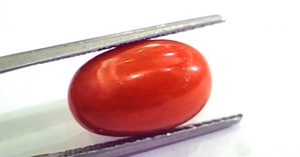 9 35 Ct 15 5 Ratti Natural Italian Red Coral Moonga Gemstone AAAA